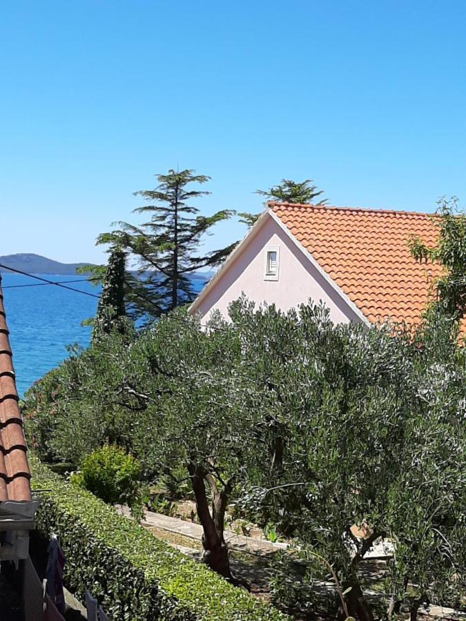 Apartment Basioli Zadar